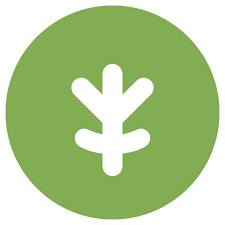 چمدان کانوود